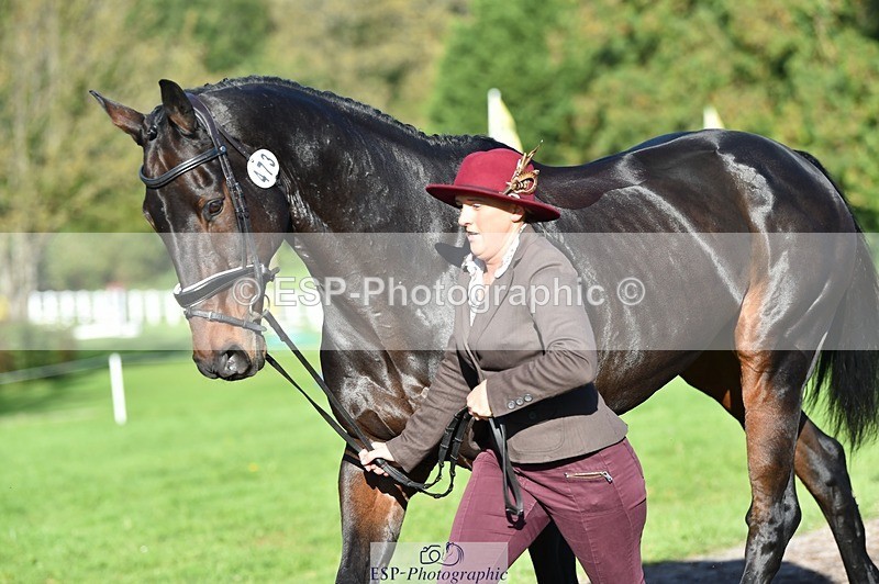 231022-105330-23568 - 473-COUNTING.STARS-Victoria.Newitt-TrotUp+SJ