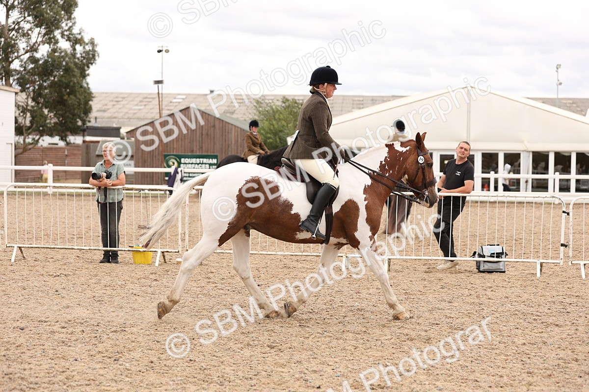 SBM_19504 - Class 215 - Ridden Show cob