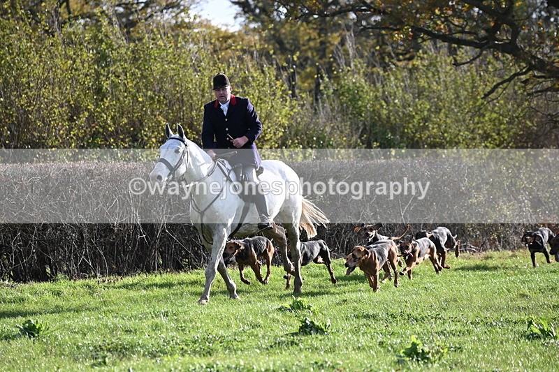 WJ6_2159 - Camera A