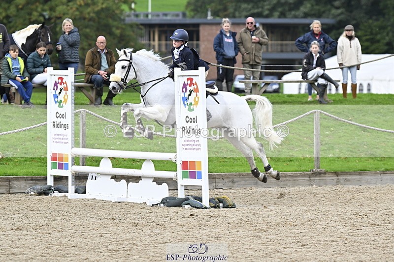 251005A-125209-03926 - Cls 08 Mini 70-75cm