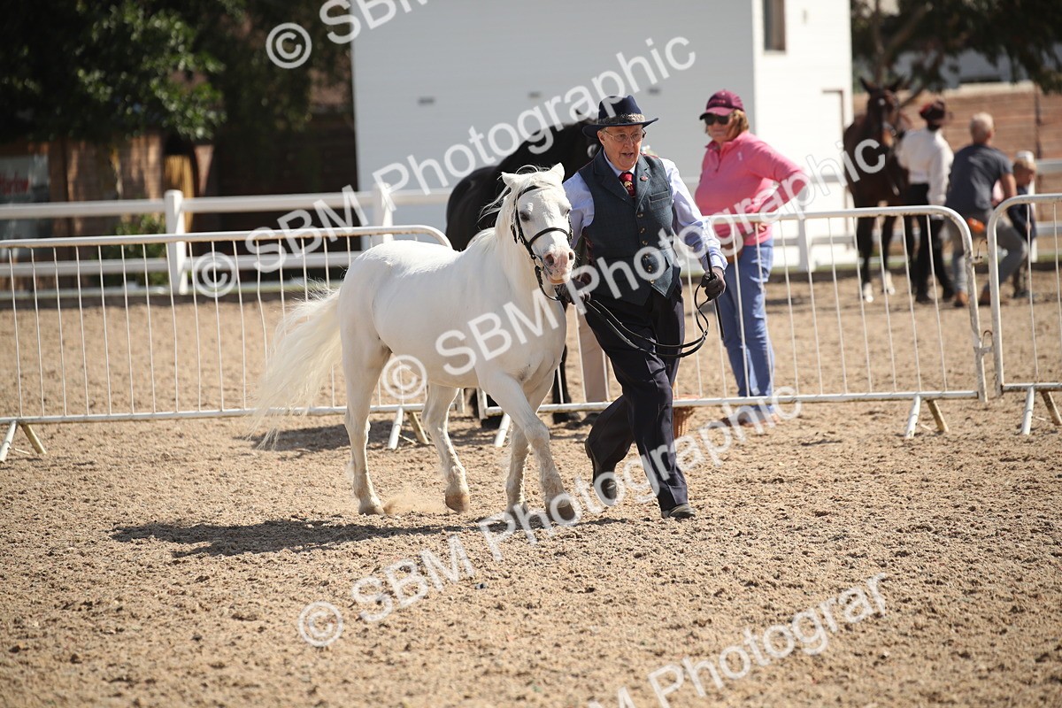 SBM_23542 - Class 605 - 2026 - Area - IH Veteran