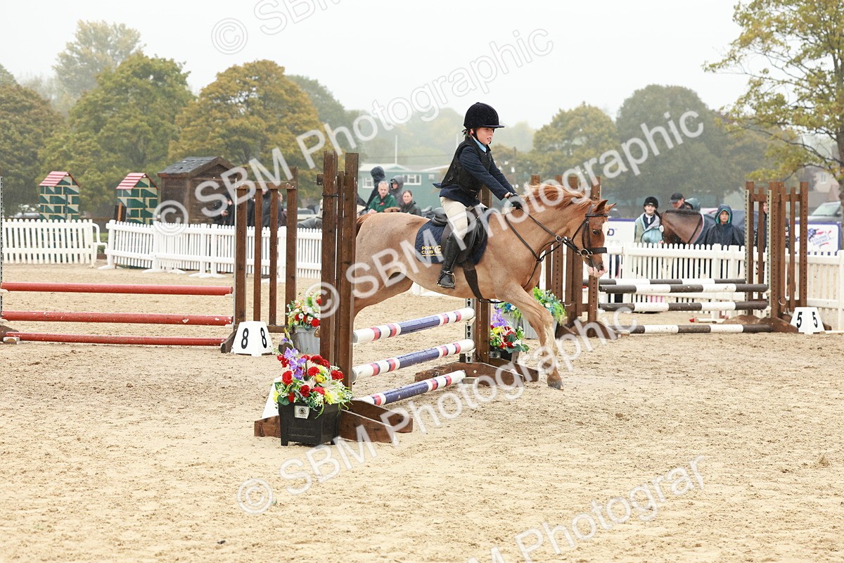 SBM_73341 - Supreme Championship Junior Pony 60cm & 65cm