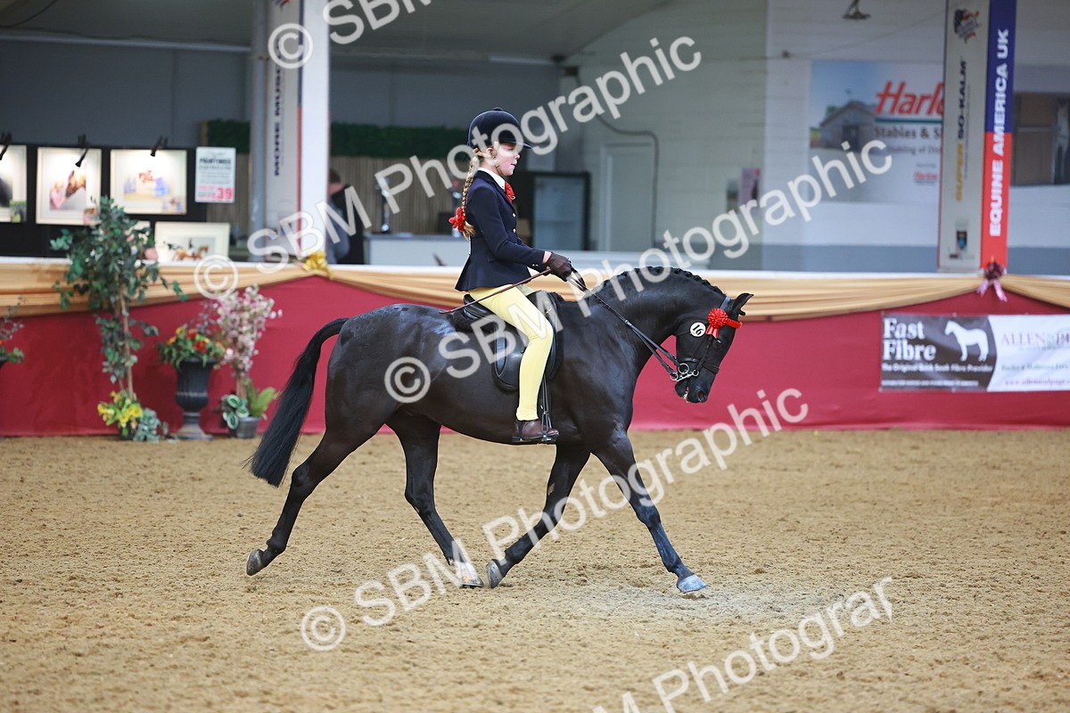 SBM_12534 - Class 103 - HOYS Veteran Qualifier - Ridden Pre Vet