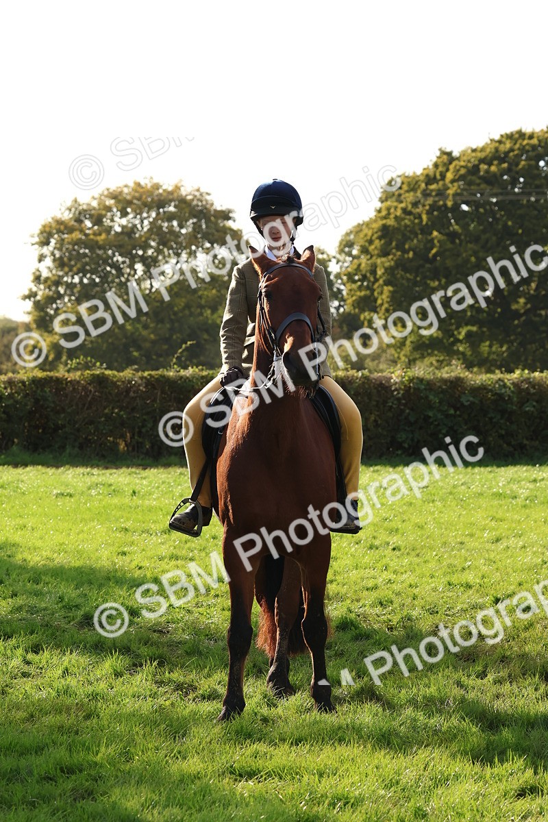 SBM_52626 - S13 - Pony Club Pony