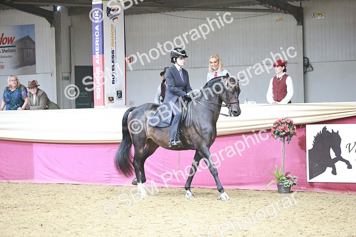 SBM_08788 - Class 12R - Regional Ridden Pre-Vet