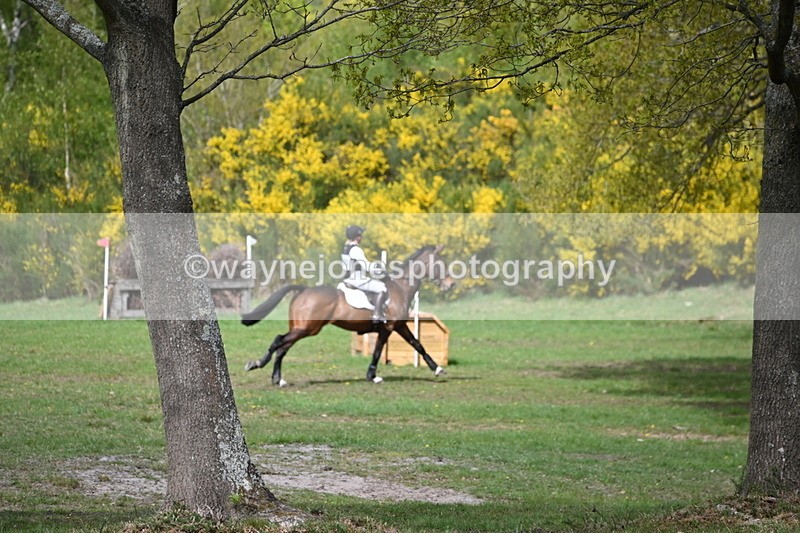 WJ6_0920 - Time 14:53 to 15:16