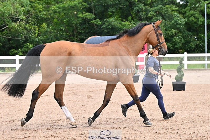 240718A-105236-00887 - Trot Up 11am to 12pm