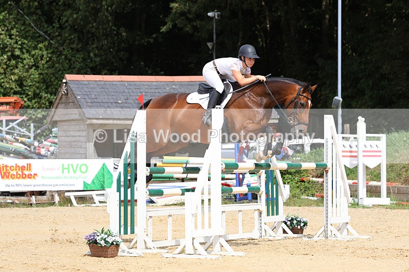 3E7A4315 - Class 8: Senior Foxhunter/1.20 open