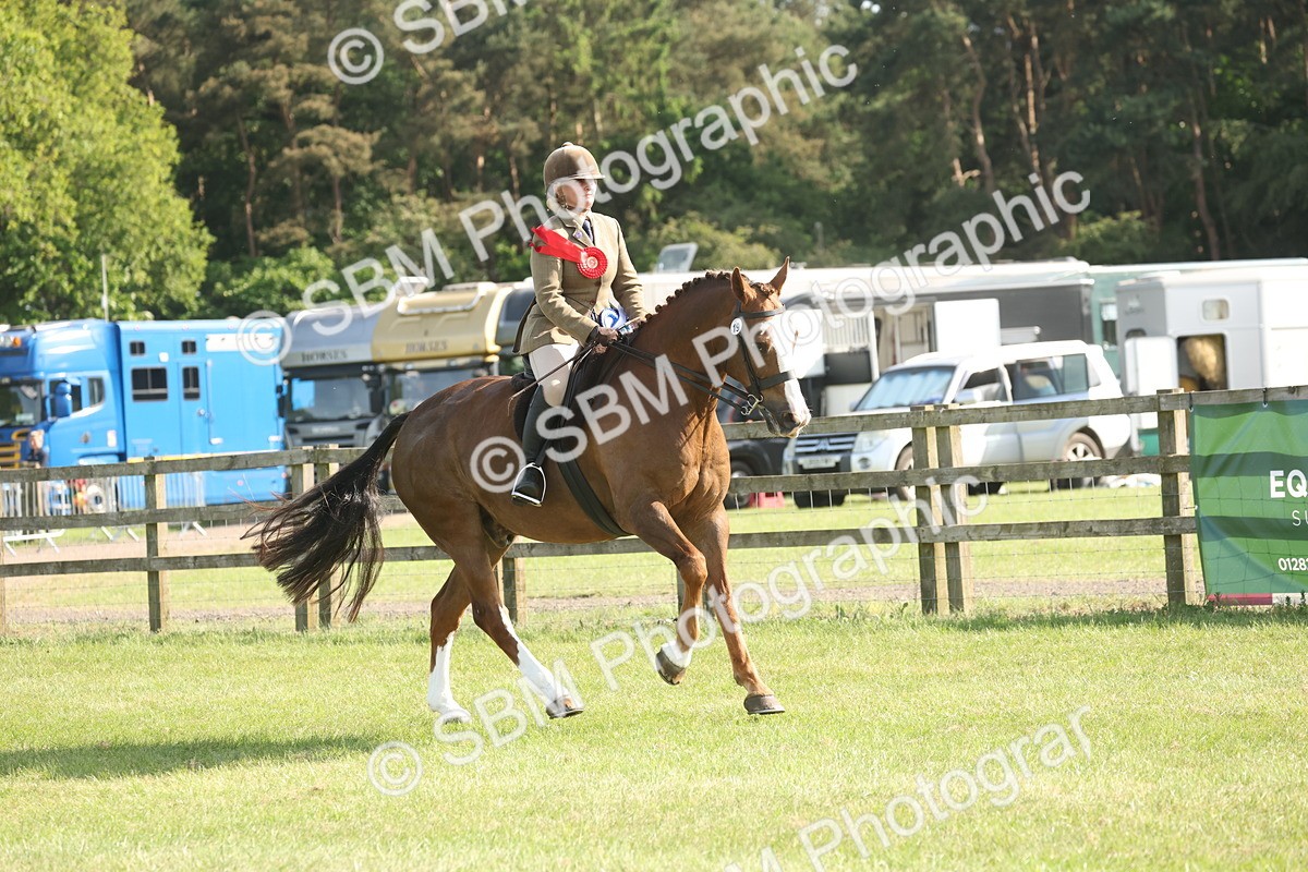 SBM_10287 - Class 33-38 - SSADL RIHS Qualifiers
