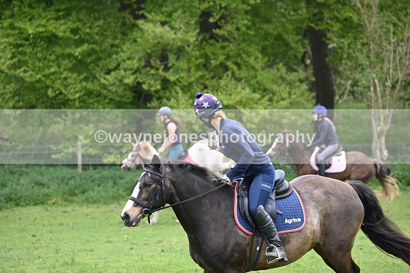 WJ6_3341 - A camera