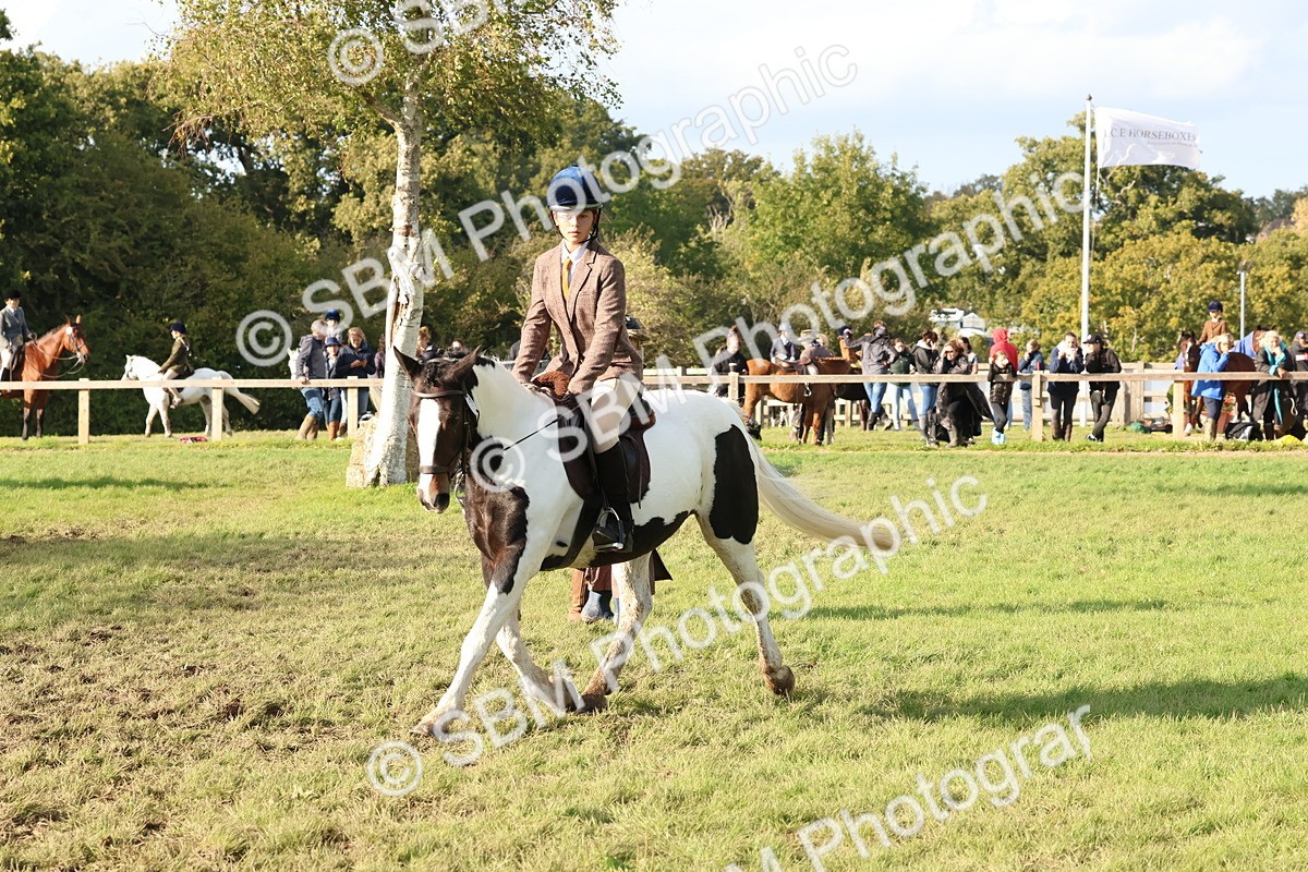 SBM_52604 - S13 - Pony Club Pony