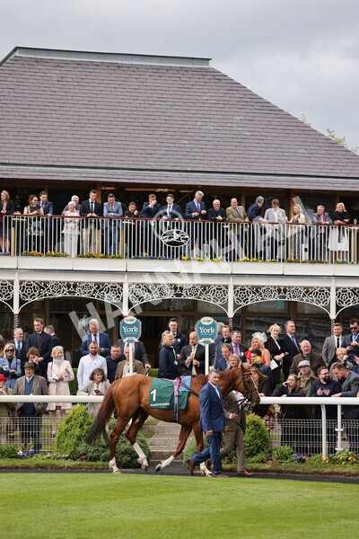 yr13052022r4-21 - Race 4 3.35pm The Paddy Power Yorkshire Cup (British Champions Series Race)