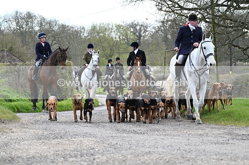 WJ7_9799 - Walk Home