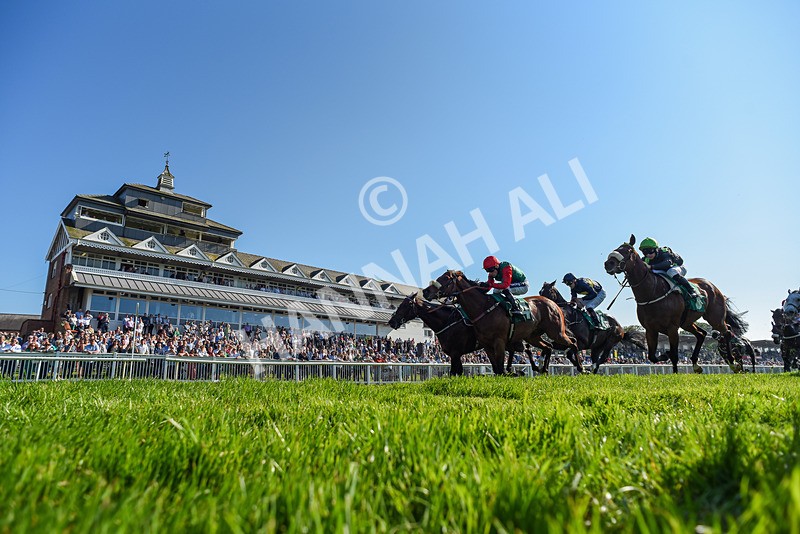 180524-Race 6-Diamondonthehill-Yorkshire-2-2 - Race 6