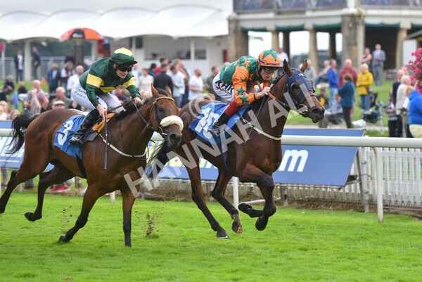 yr24092021r7-51 - Race 7 4.55pm William Hill Free or Four Fillies' Stakes