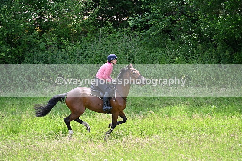 WJ7_8805 - Group 4 11am