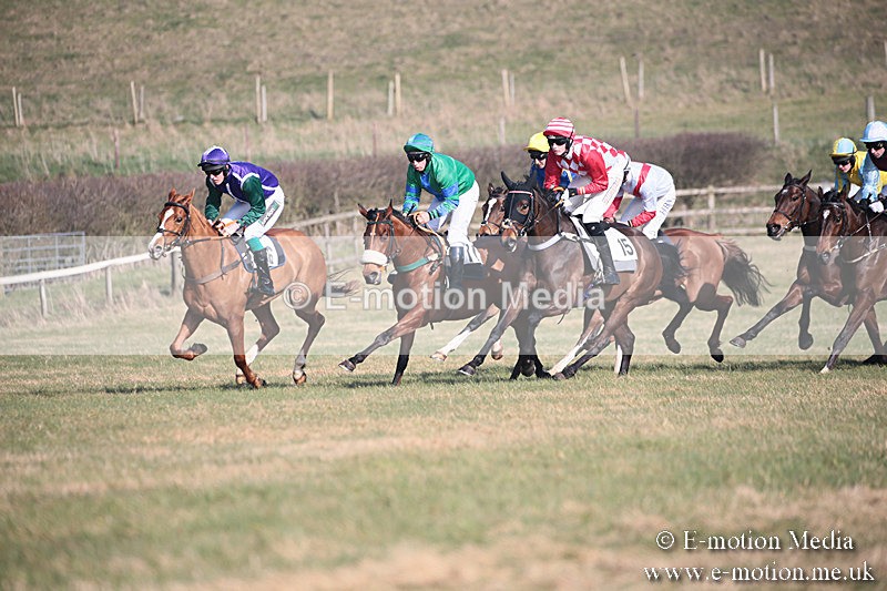 PtP 230219 213 - Vine & Craven Point-To-Point - Barbury 23/02/19