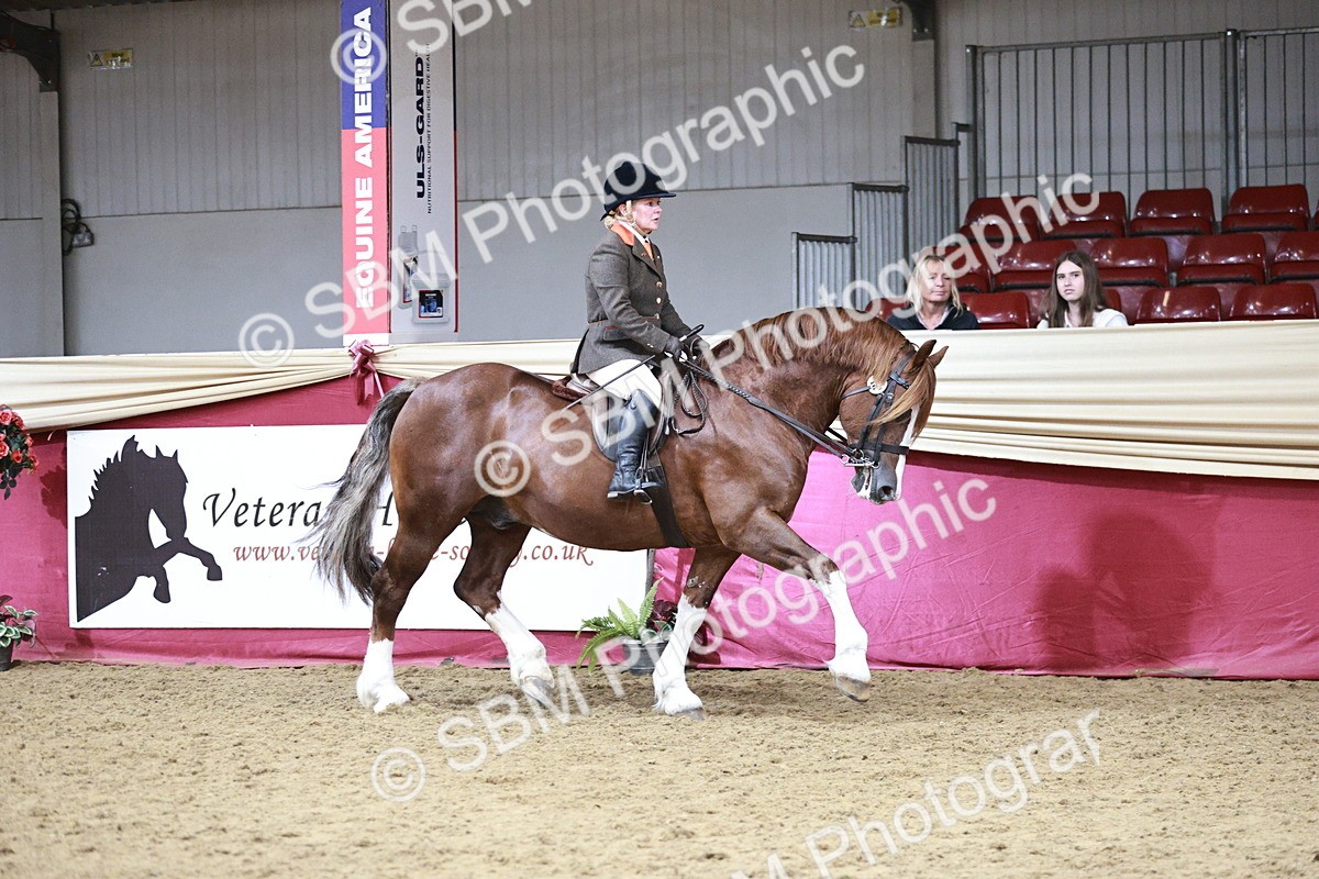 SBM_08766 - Class 12R - Regional Ridden Pre-Vet