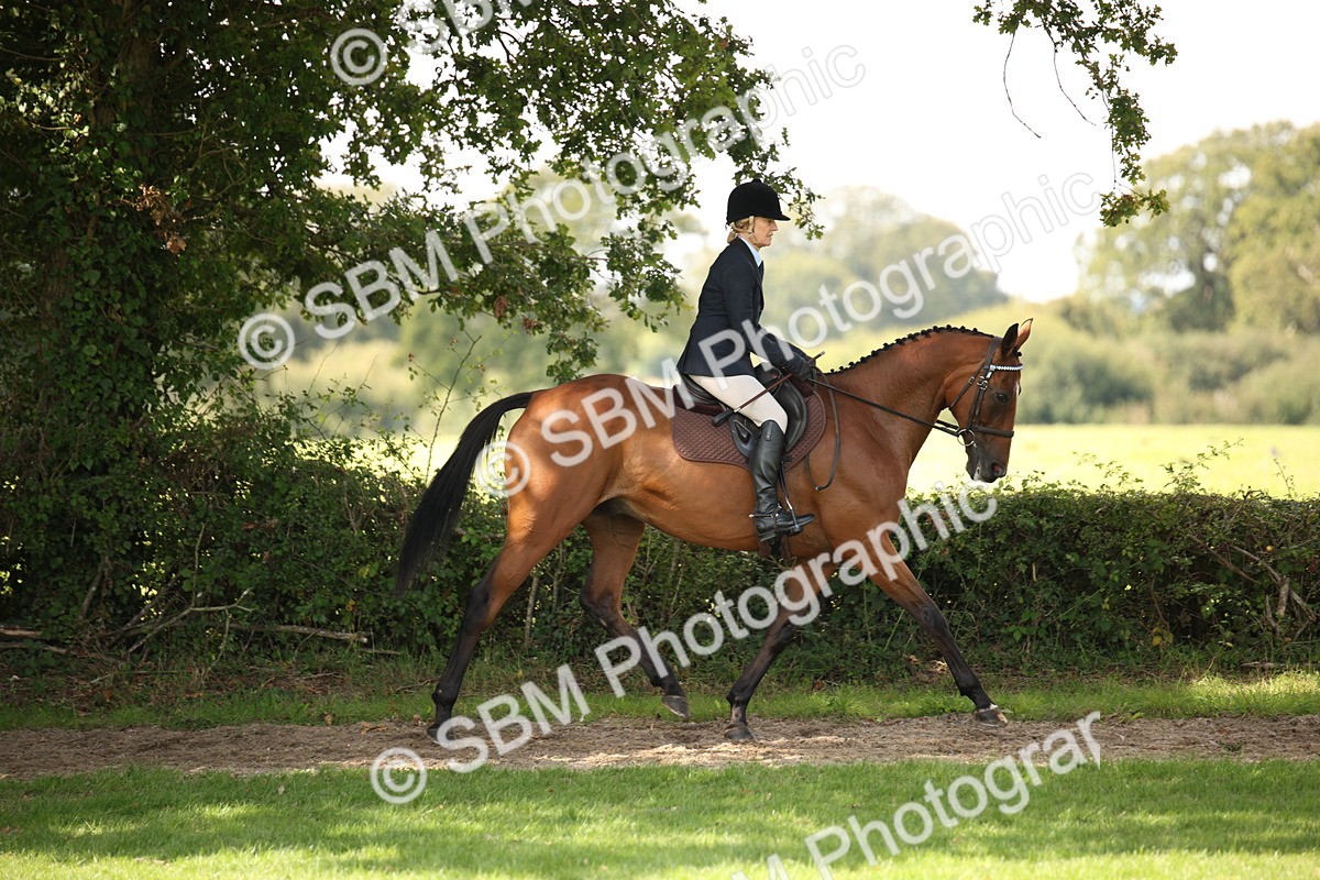 SBM_65918 - S64 - Riding Horse & Hack & Thoroughbred Ridden