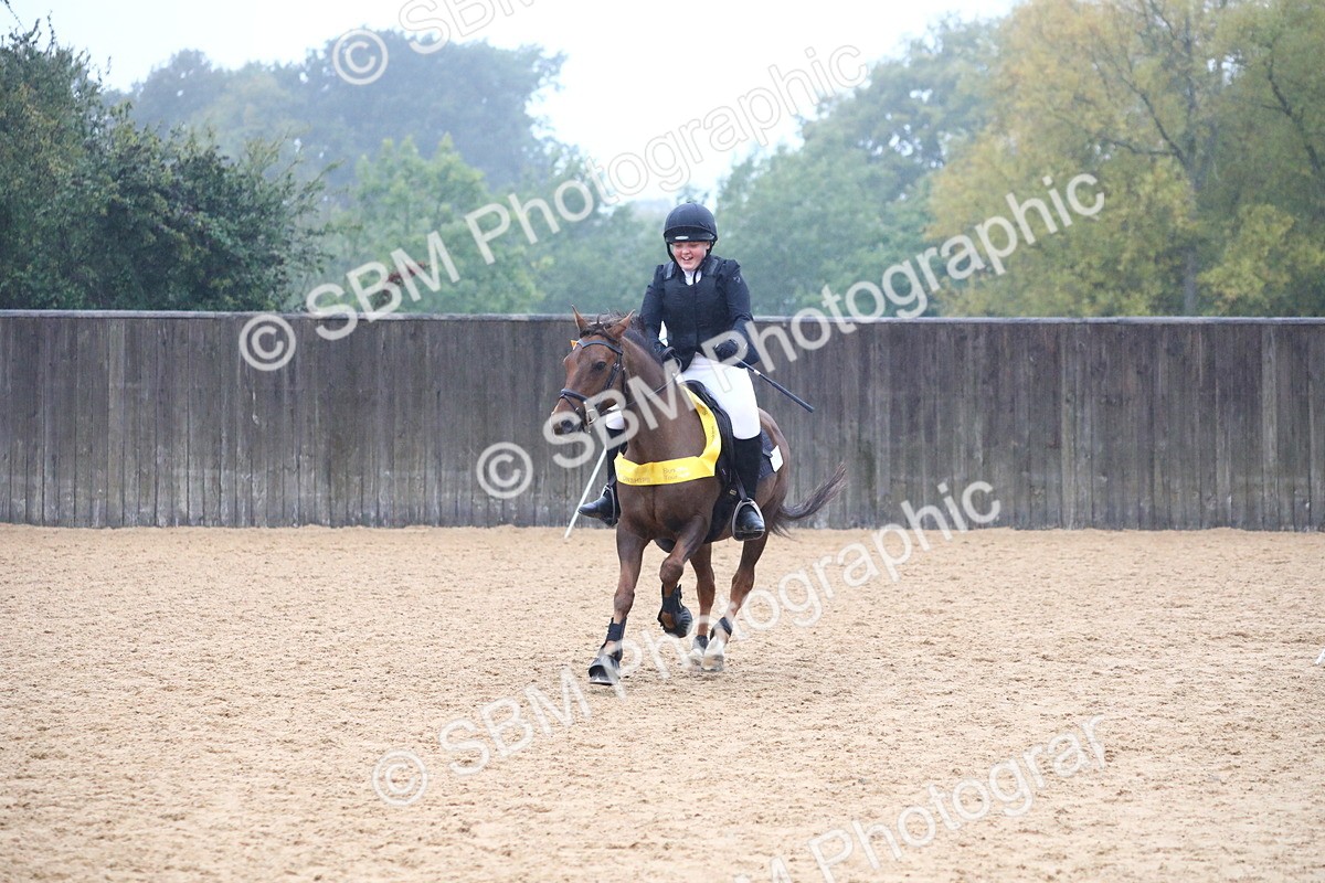 SBM_71897 - J4 - Mini Tour Junior Pony 45cm Championship