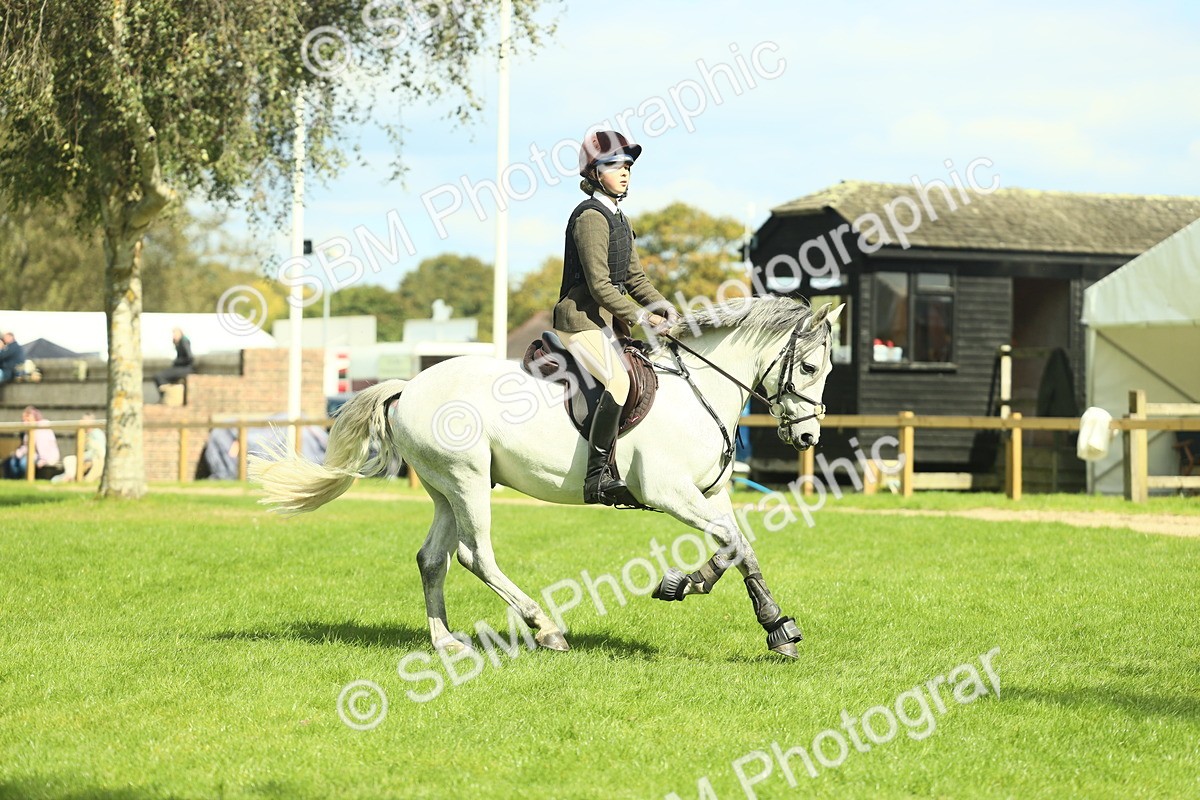 SBM_42945 - S30 - M&M Working hunter Pony