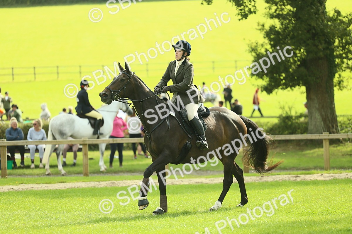 SBM_48020 - S32 - Novice & Newcomers Working Hunter