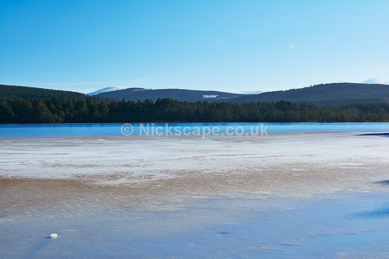 Winter at Loch Garten | Caringorms Landscape Photography