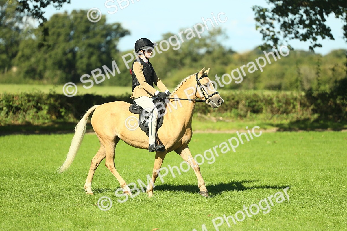 SBM_37472 - S29 - Novice & Newcomers Working Hunter Pony