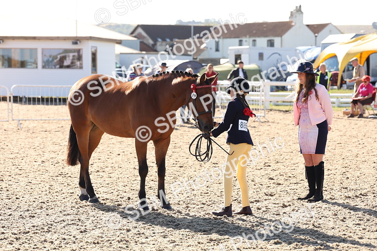 SBM_11749 - Class 204 - Young Handler 11 to 16 years