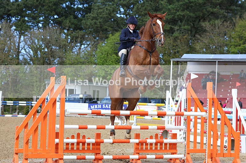 3E7A2100 - Class 8: Senior Foxhunter/1.20 open