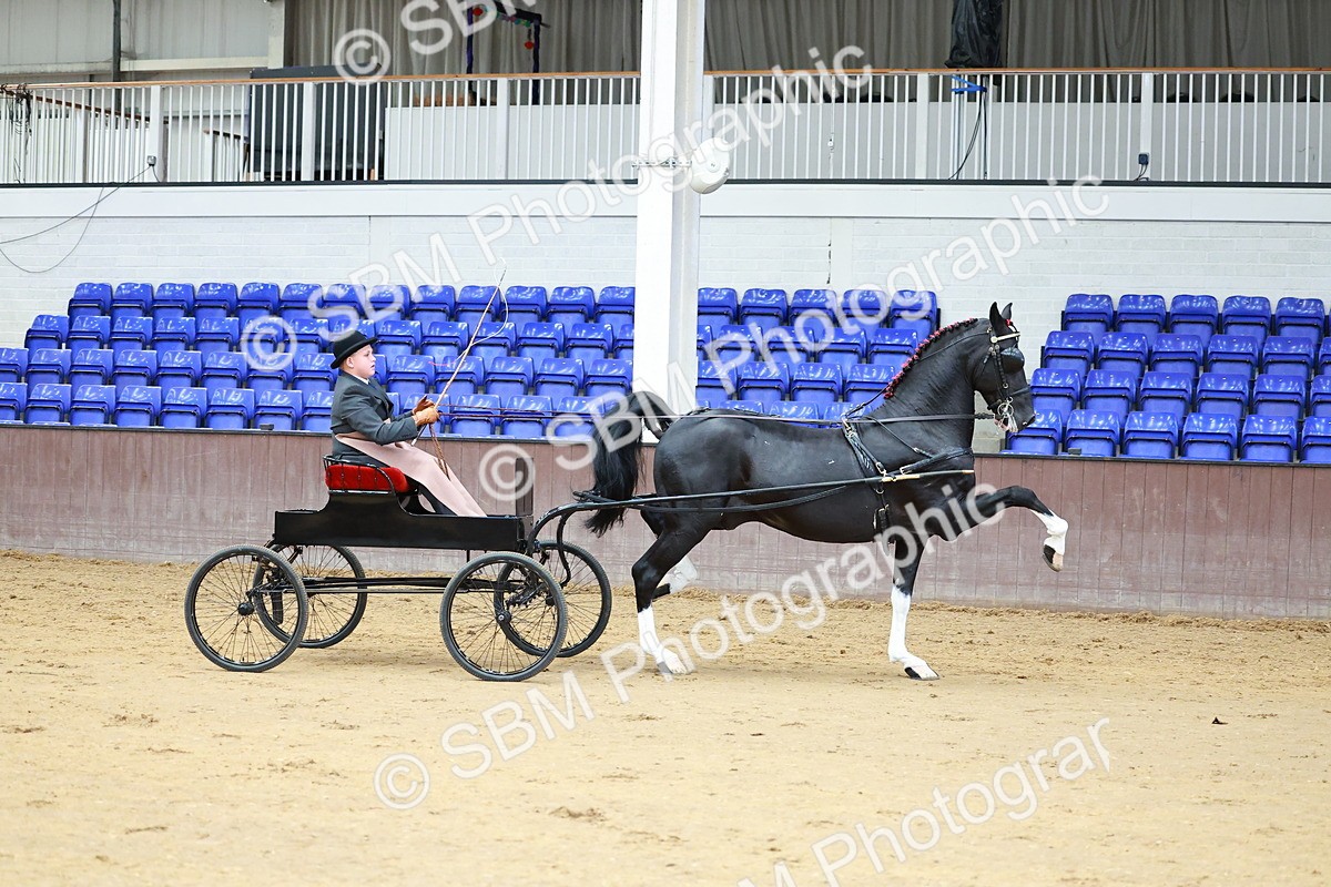 SBM_001007 - Class 13  - HHS Championship Intl Hackney Horse to a Show Wagon
