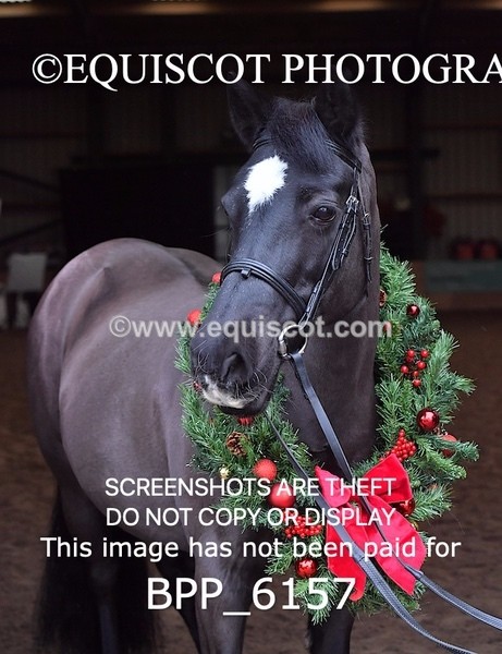 BPP_6157 - Erin Hancock ×2