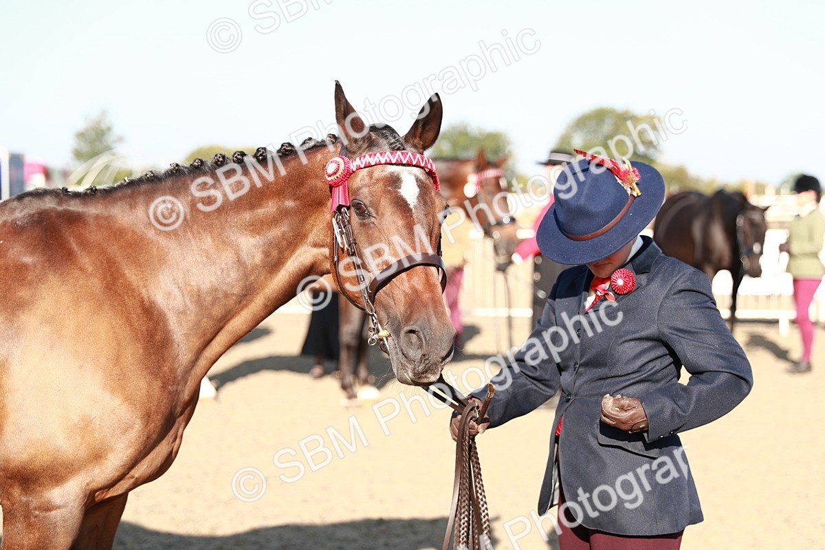 SBM_00063 - Class 40 Best Turned Out IH