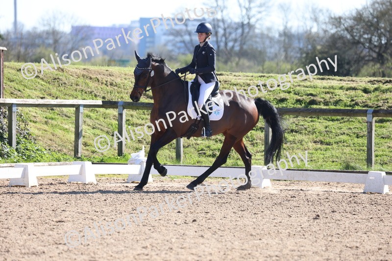 20260318-0558 - Class 5 - Novice 2