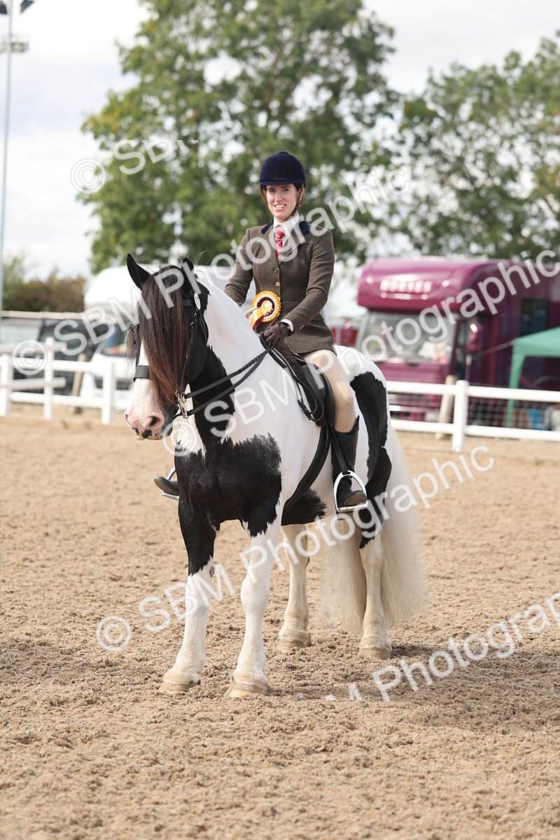 SBM_14854 - Class 308 - Ridden Coloured Horse