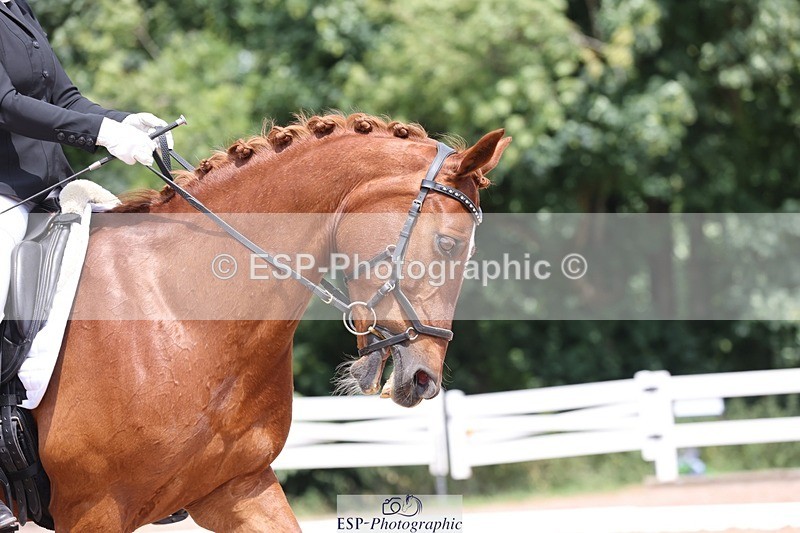 250620-122829-00934 - BD Cls 15 - Freestyle Adv Medium