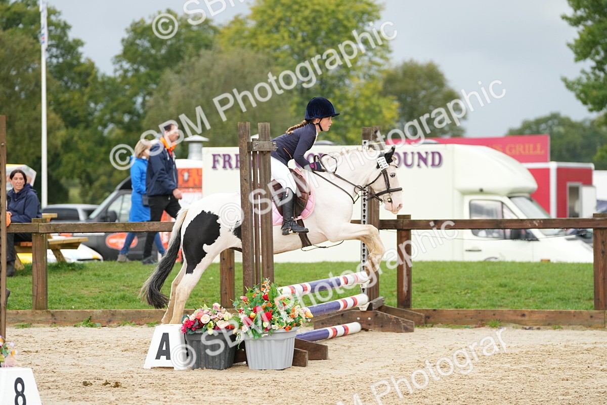 SBM_32466 - J5 - Junior Pony 50cm Championship