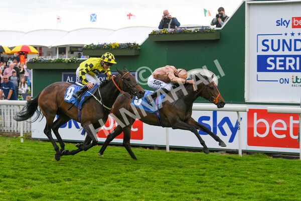 yr22052022r7-22 - Race 7: 6:40pm Sky Bet Sunday Series Fillies' and Mares Stakes