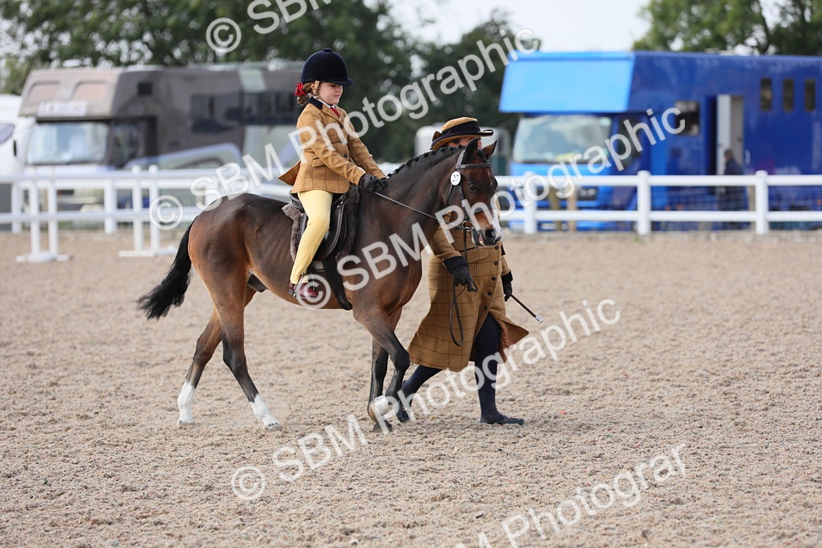 SBM_13964 - Class 309 Lead Rein Pony