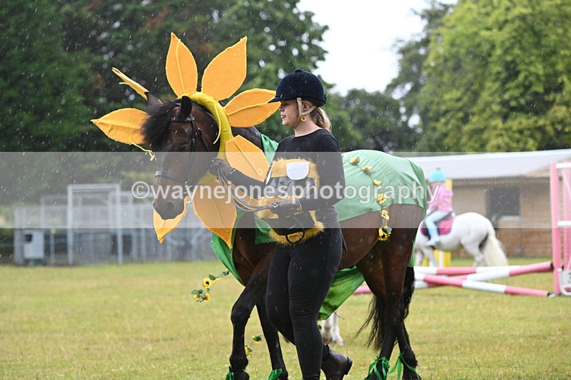 WJ6_9229 - Class 11 Fancy Dress