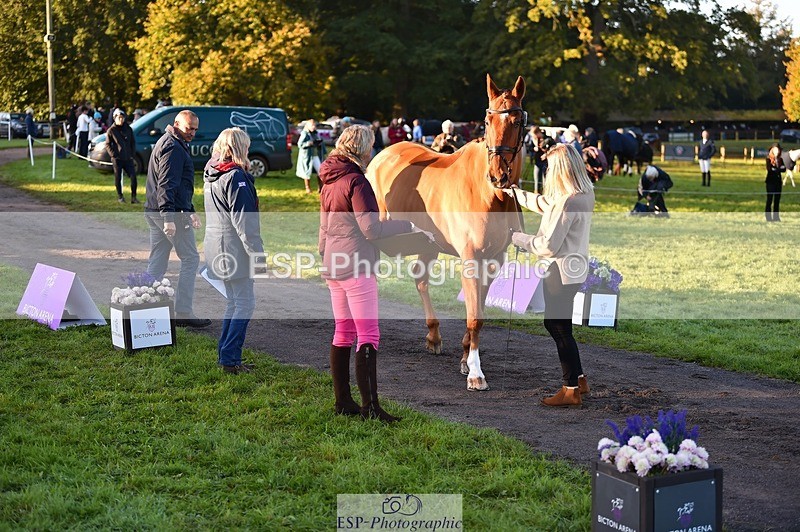 231022-084536-21338 - 625-KILTRA.ALFY-Abi.Meredith-TrotUp+SJ