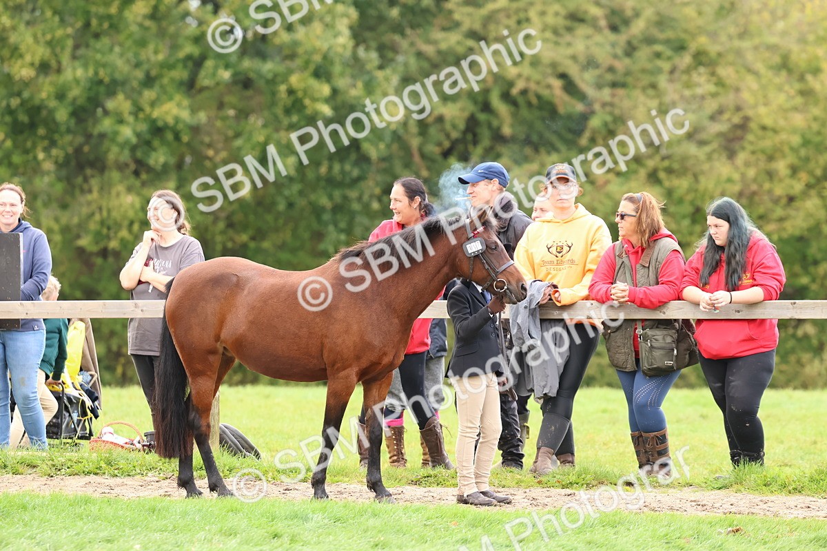 SBM_39492 - S24 - Young Veteran In Hand