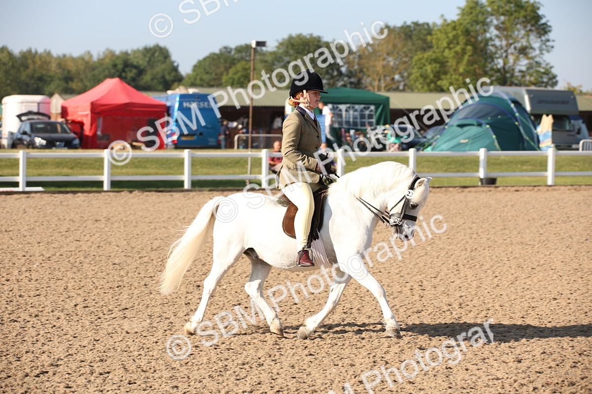 SBM_00641 - Class 14 Ridden M&M Wildcard