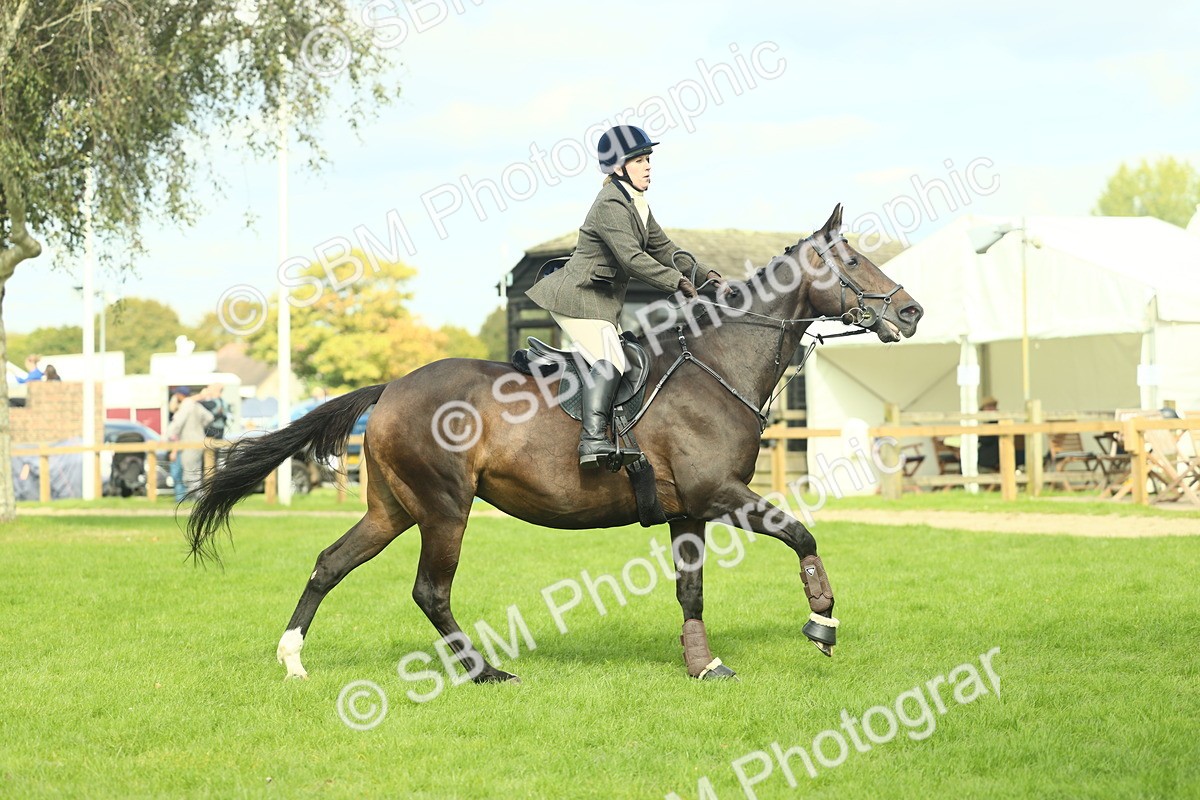 SBM_48016 - S32 - Novice & Newcomers Working Hunter