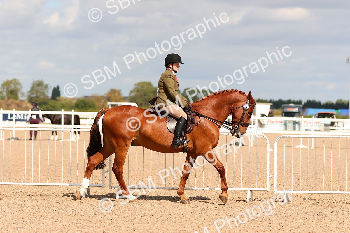 SBM_13183 - Class 211 - Ridden Hunter - Small