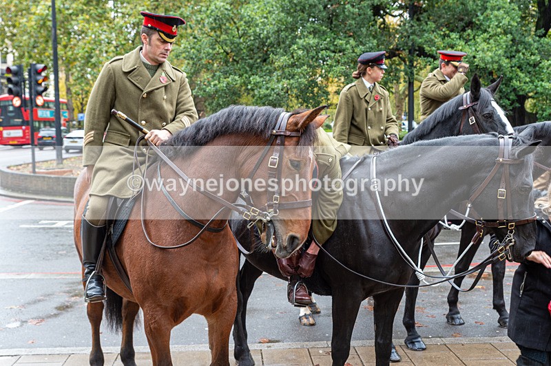 NGP_7068 - Animals In War Memorial - 10-11-23