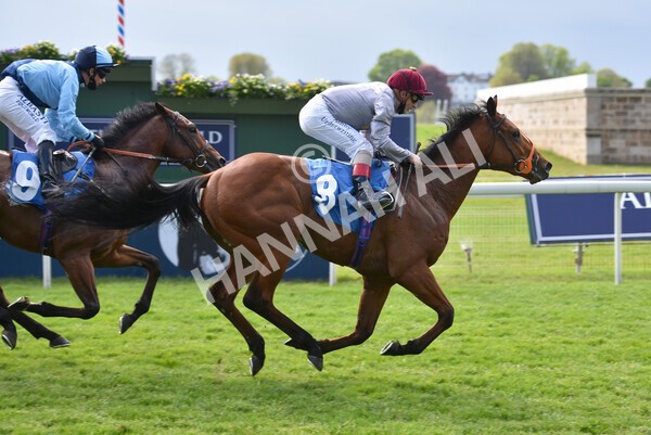 yr13052021r6-43 - Race 6 4.15pm Constant Security EBFstallions.com Maiden Stakes
