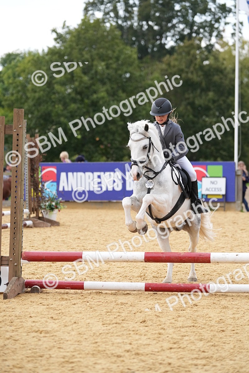 SBM_74675 - J4 - Mini Tour Junior Pony 45cm Championship