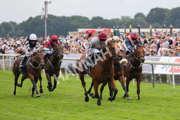 yr20082021r3-14 - Race 3 3.00pm Al Basti Equiworld Dubai Gimcrack Stakes