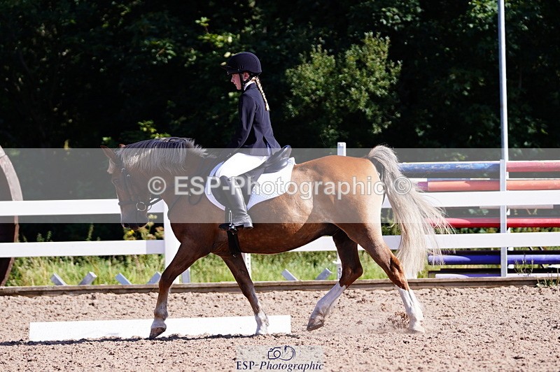 240809A-091224-00176 - Dressage Competition